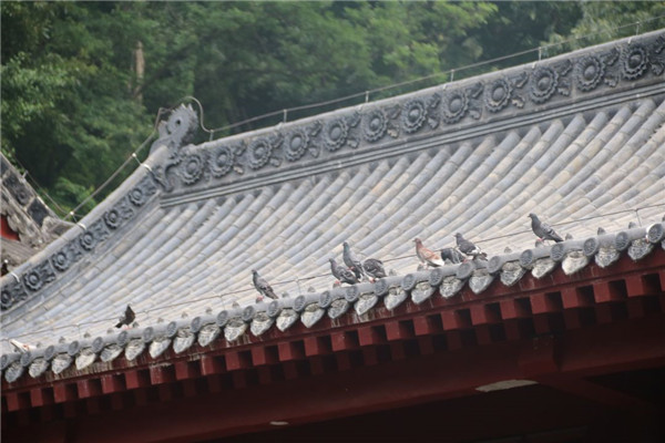 今泰裝飾出游記 | 我們有一千種姿勢玩出精彩！(圖4)