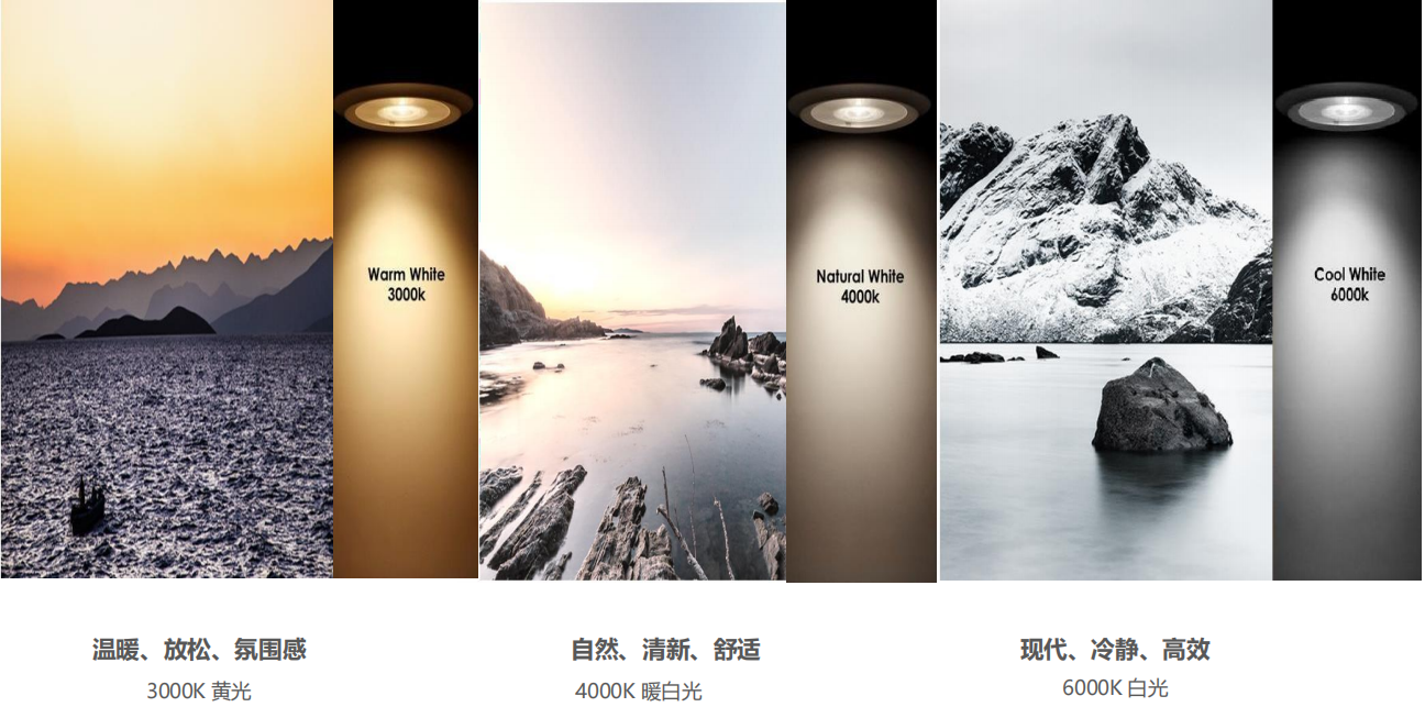 【設(shè)計(jì)案例】普照國康醫(yī)藥辦公室項(xiàng)目概念設(shè)計(jì)——以空間敘事，筑品牌基因(圖26)