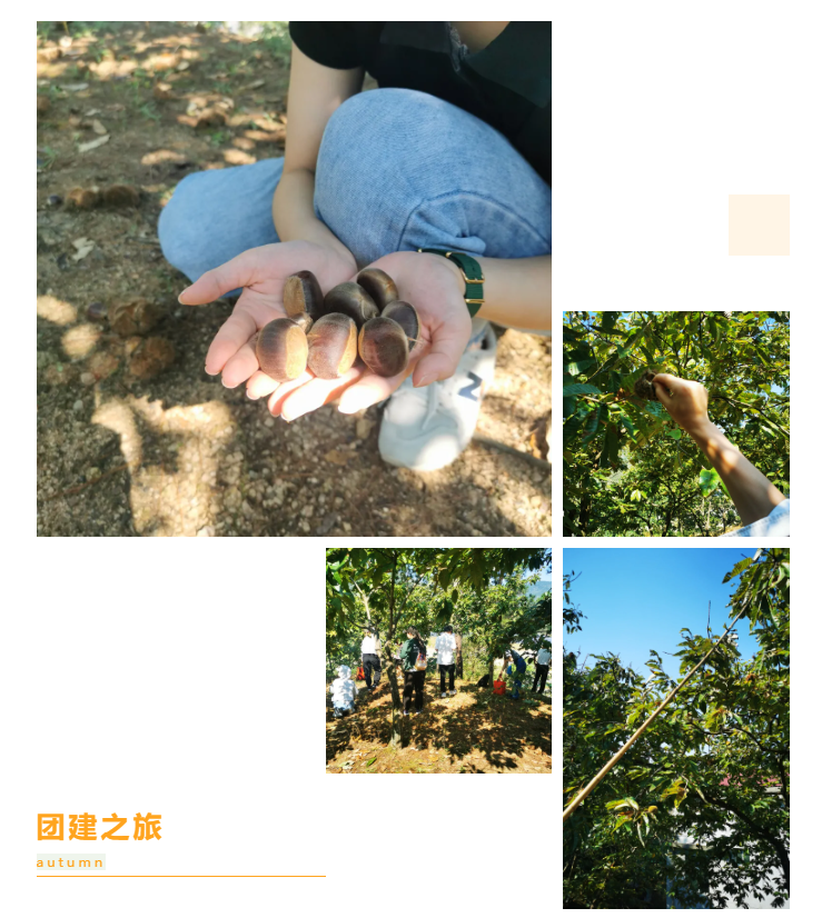 秋天了，來一場成年人的秋游吧(圖6)